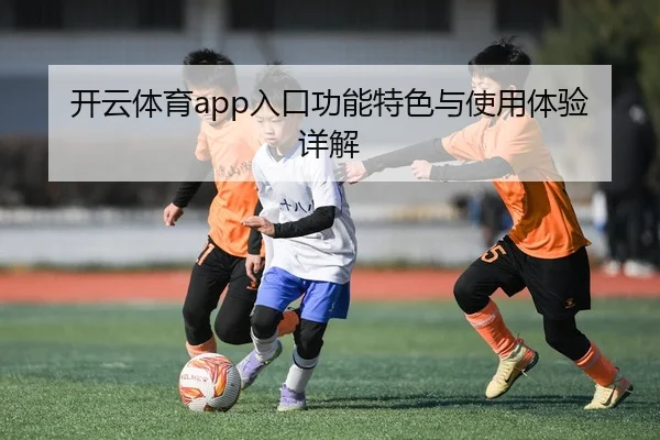 开云体育app入口功能特色与使用体验详解