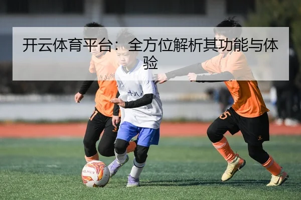 开云体育平台：全方位解析其功能与体验