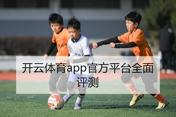 开云体育app官方平台全面评测