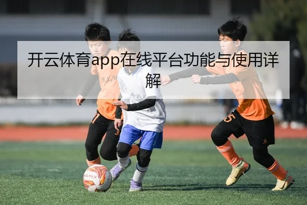 开云体育app在线平台功能与使用详解