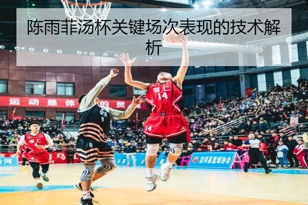 陈雨菲汤杯关键场次表现的技术解析